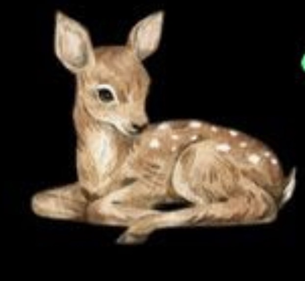 صورة غزاله مع كتابة
